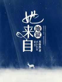 林晚青顾霆琛510章