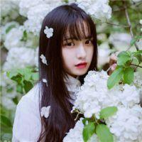 为你打开一扇窗句子