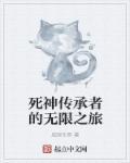 死神传承者的无限之旅 死神传承者的无限之旅