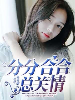 分分合合总关情 分分合合总关情